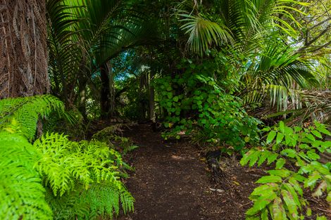 Photo of property in 16 Russell Street, Whataupoko, Gisborne, 4010