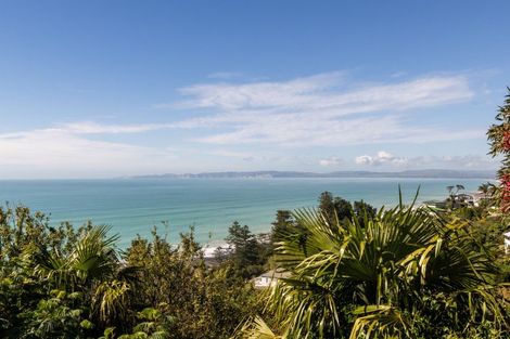 Photo of property in 117 Priestley Terrace, Bluff Hill, Napier, 4110