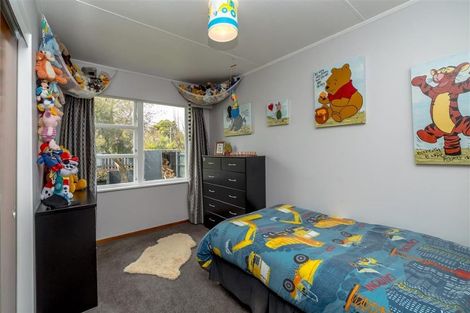 Photo of property in 147 Cockburn Street, Kuripuni, Masterton, 5810