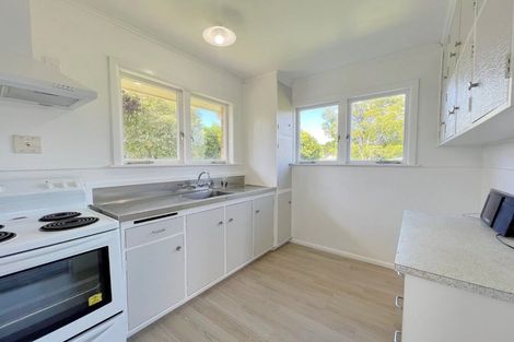 Photo of property in 47a Galloway Street, Hamilton East, Hamilton, 3216