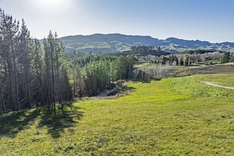 Photo of property in 1000 Kahuranaki Road, Kahuranaki, 4295