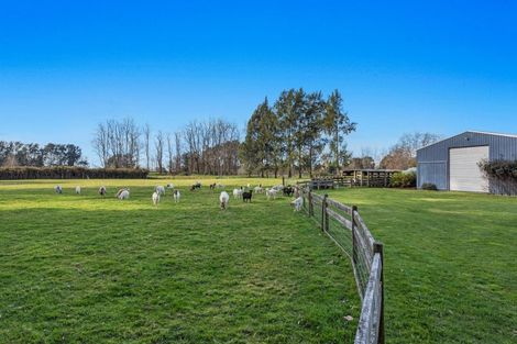 Photo of property in 19 Hogg Road, Rotoma, Whakatane, 3192