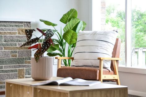 Photo of property in 11 Minifie Avenue, Melville, Hamilton, 3206