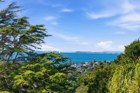 Photo of property in 355 East Coast Road, Mairangi Bay, Auckland, 0630