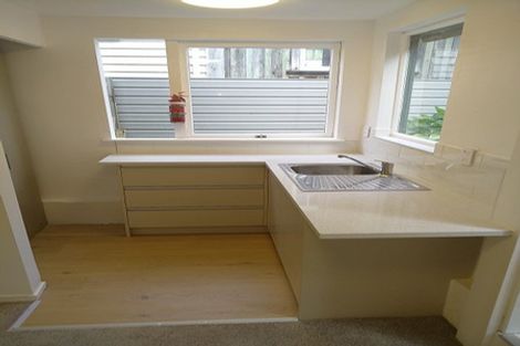 Photo of property in 67 First Avenue, Kingsland, Auckland, 1021