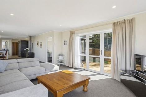 Photo of property in 17 Seaview Road, Brighton, Dunedin, 9035