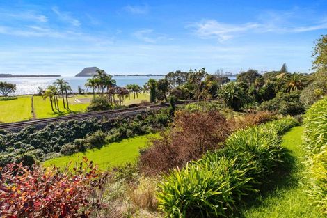 Photo of property in 8 Aylesbury Terrace, Otumoetai, Tauranga, 3110