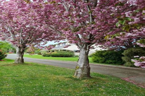 Photo of property in 412 Lorne Dacre Road, Roslyn Bush, Invercargill, 9876