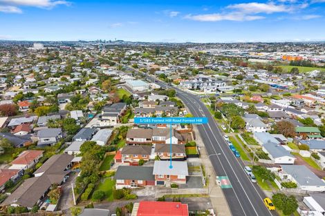 Photo of property in 1/181 Forrest Hill Road, Forrest Hill, Auckland, 0620