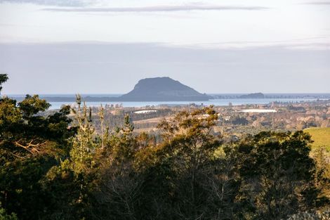 Photo of property in 257f Whakamarama Road, Whakamarama, Tauranga, 3179