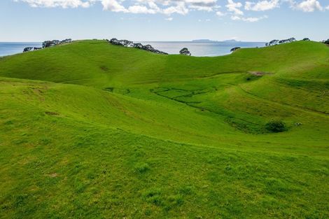 Photo of property in 118 Rockell Road, Whananaki, Hikurangi, 0181