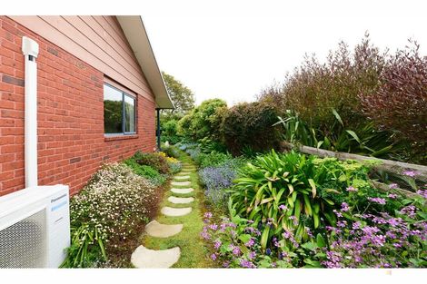 Photo of property in 8 Butchers Lane, Waimate, 7924