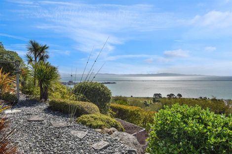 Photo of property in 41 Davies Drive, Atawhai, Nelson, 7010