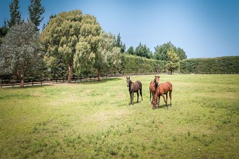 Photo of property in 496 Knyvetts Road, Southbridge, Leeston, 7682