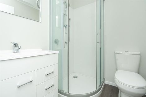 Photo of property in 3/67 Fifth Avenue, Enderley, Hamilton, 3214