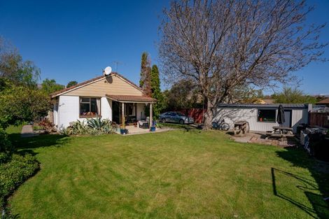 Photo of property in 46 Antimony Crescent, Cromwell, 9310