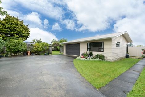Photo of property in 158 Tiro Tiro Road, Levin, 5510