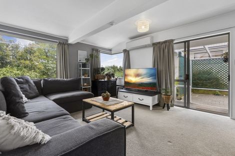 Photo of property in 33 Brookfield Terrace, Brookfield, Tauranga, 3110