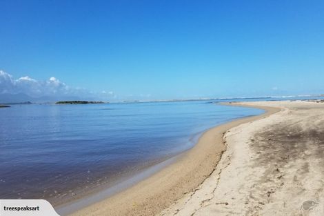 Photo of property in 242 Arapito Road, Karamea, 7893