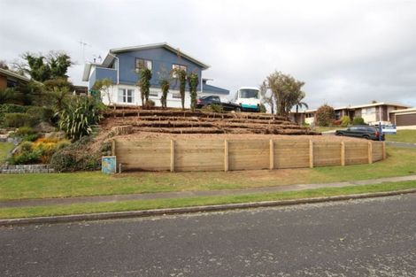 Photo of property in 25 Tasman Drive, Tokoroa, 3420