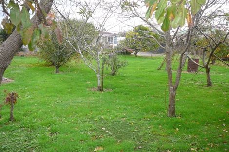 Photo of property in 15 Bradley Street, Paeroa, 3600