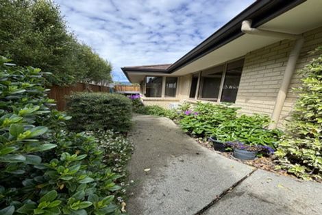 Photo of property in 7 Persico Way, The Wood, Nelson, 7010