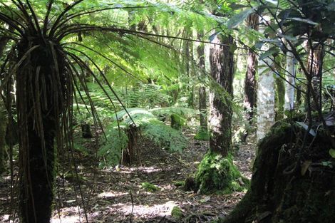 Photo of property in 552 Cuff Road, Erua, Owhango, 3990