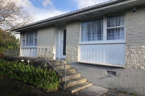 Photo of property in 17 Eyre Street, Henderson, Auckland, 0612