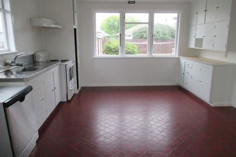 Photo of property in 116 Limbrick Street, Terrace End, Palmerston North, 4410