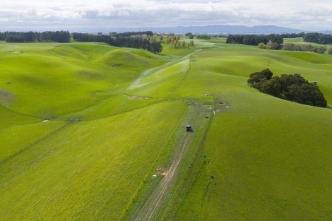 Photo of property in 234 Sandon Road, Feilding, 4779