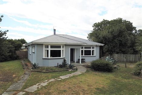 Photo of property in 39 Parnassus Street, Waiau, 7332
