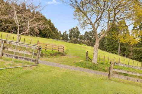 Photo of property in 257f Whakamarama Road, Whakamarama, Tauranga, 3179