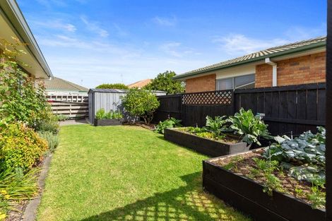 Photo of property in 1 Halesia Place, Mount Maunganui, 3116