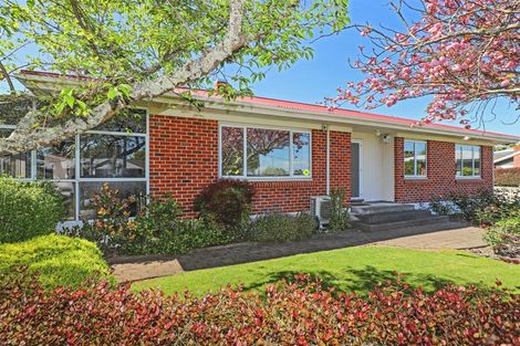 Photo of property in 32 Campbell Street, Havelock North, 4130