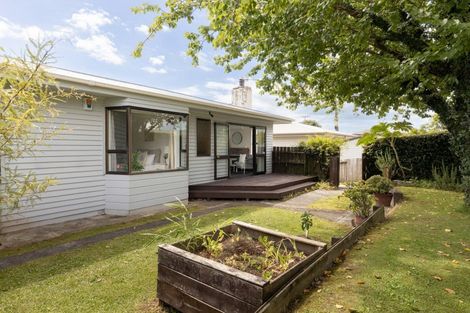 Photo of property in 22a Cook Street, Gate Pa, Tauranga, 3112