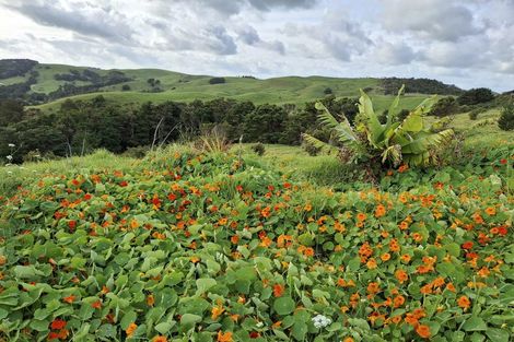 Photo of property in 913 Access Road, Ruawai, 0594