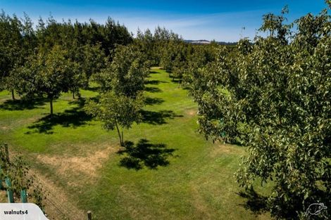 Photo of property in 556 Steffens Road, Starvation Hill, Oxford, 7495