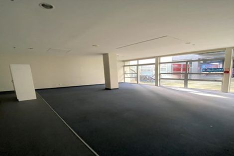 Photo of property in Hanson House, 2/27 Hanson Street, Mount Cook, Wellington, 6021