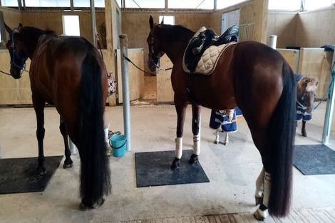 Photo of property in 475 Ellesmere Road, Lincoln, Christchurch, 7672