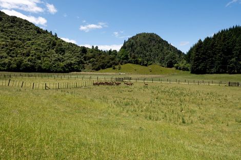 Photo of property in 171 Millar Road, Lake Okareka, Rotorua, 3076