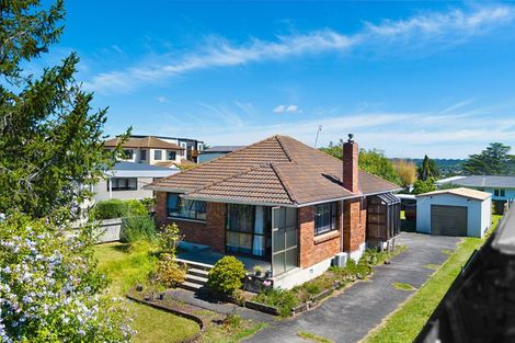 Photo of property in 45 Sturges Road, Henderson, Auckland, 0612