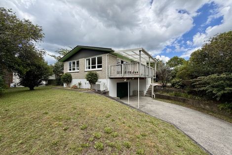 Photo of property in 217 West Parkdale Street, Tokoroa, 3420