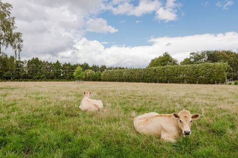 Photo of property in 14 Aerodrome Road, Dannevirke, 4972