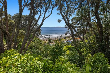 Photo of property in 59 Pohutukawa Drive, Waiotahe, Opotiki, 3198