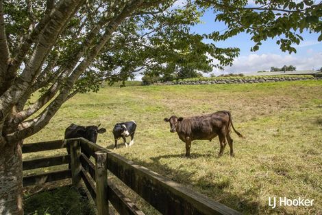 Photo of property in 325c Rea Road, Tahawai, Katikati, 3178