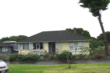 Photo of property in 29 Torino Street, Point England, Auckland, 1072