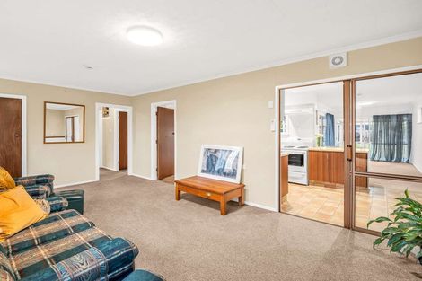 Photo of property in 17 Elizabeth Street, Feilding, 4702