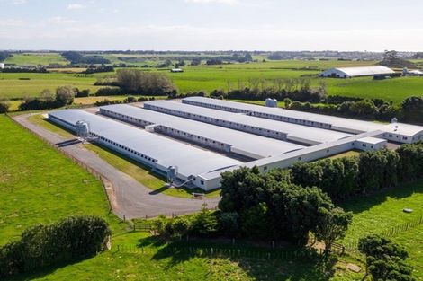 Photo of property in 116 Ngatimaru Road, Tikorangi, Waitara, 4383