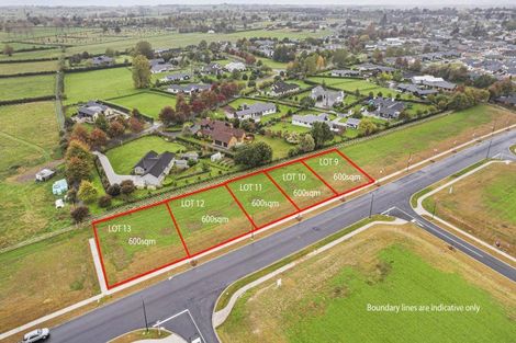 Photo of property in 40 Peakedale Drive, Matamata, 3400