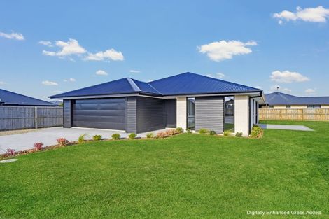Photo of property in 1 Coleman Lane, Amberley, 7410